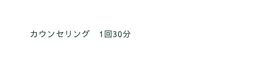 カウンセリング 1回30分