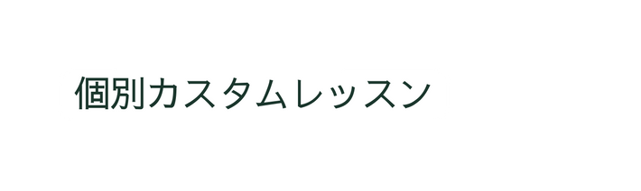 個別カスタムレッスン